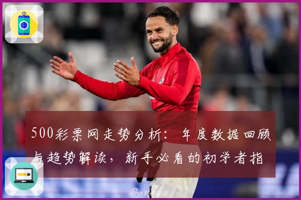 500彩票网走势分析：年度数据回顾与趋势解读，新手必看的初学者指导