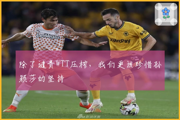 除了谴责WTT压榨，我们更该珍惜孙颖莎的坚持